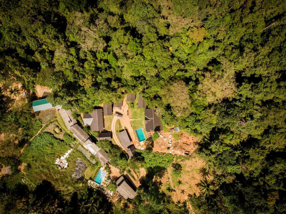 Sinharaja Forest Gate Deniyaya Εξωτερικό φωτογραφία