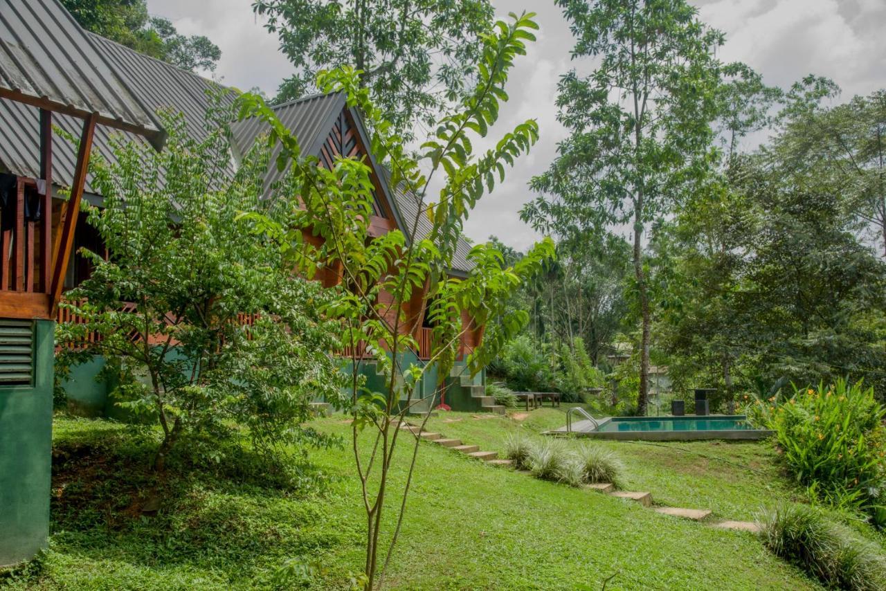 Sinharaja Forest Gate Deniyaya Εξωτερικό φωτογραφία