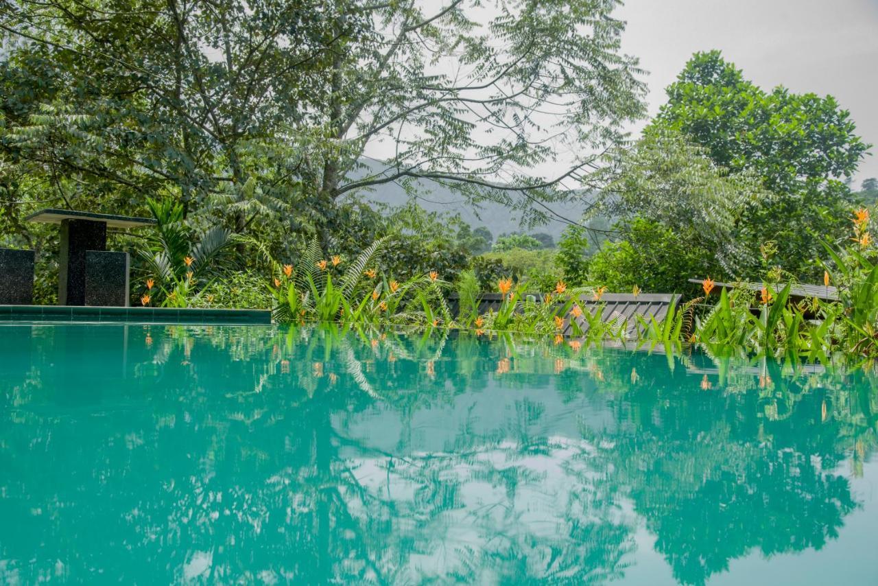 Sinharaja Forest Gate Deniyaya Εξωτερικό φωτογραφία