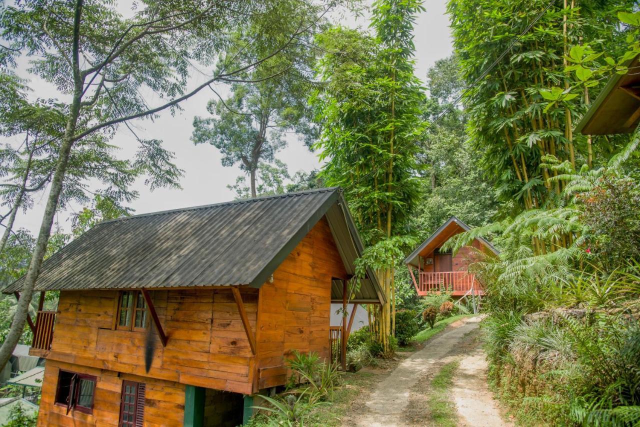 Sinharaja Forest Gate Deniyaya Εξωτερικό φωτογραφία