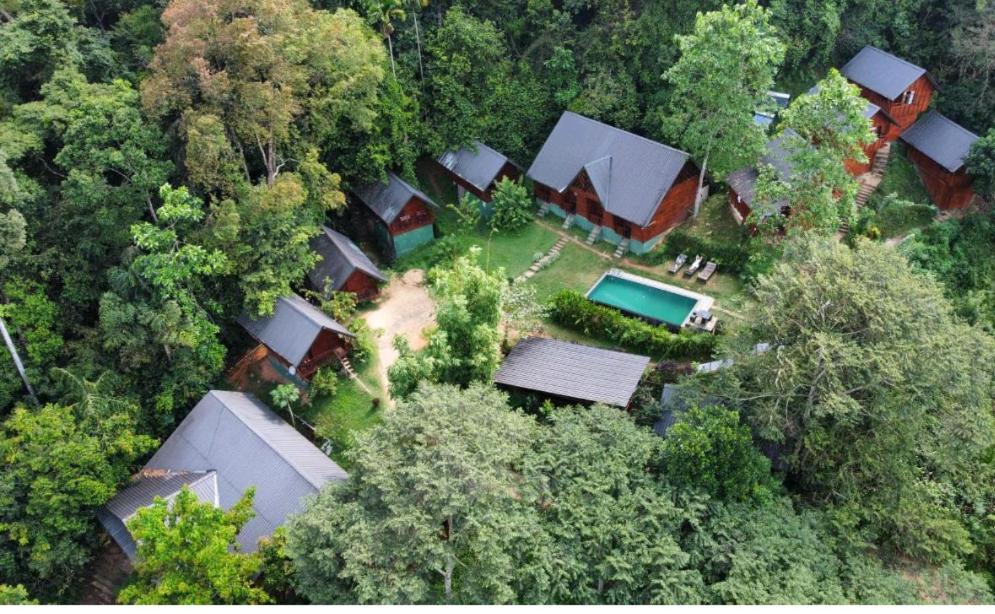 Sinharaja Forest Gate Deniyaya Εξωτερικό φωτογραφία