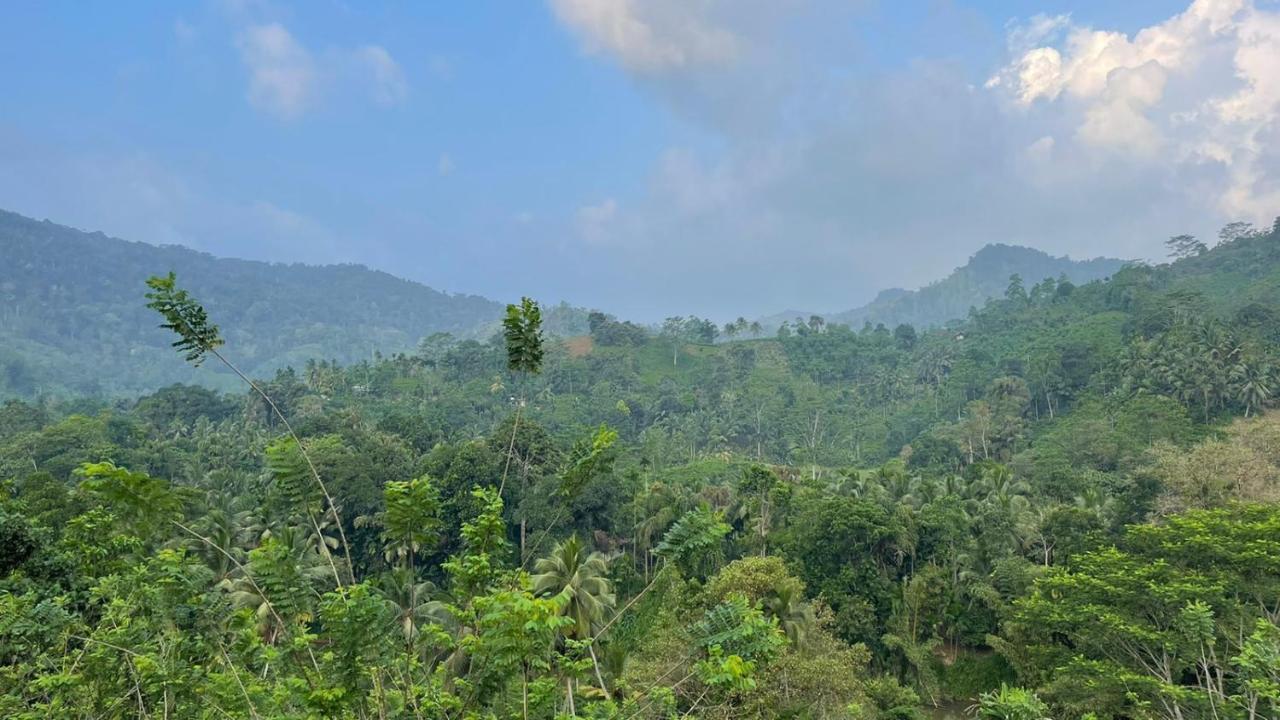 Sinharaja Forest Gate Deniyaya Εξωτερικό φωτογραφία