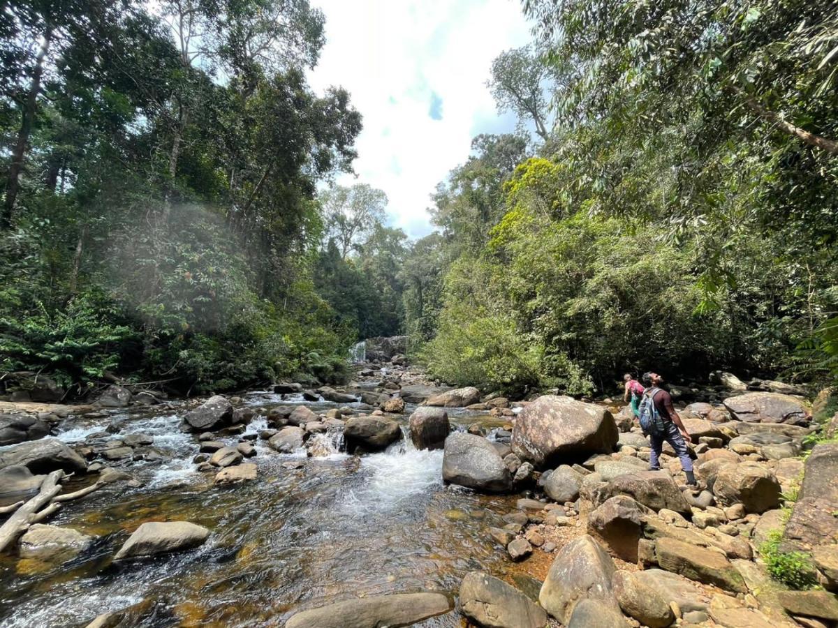 Sinharaja Forest Gate Deniyaya Εξωτερικό φωτογραφία