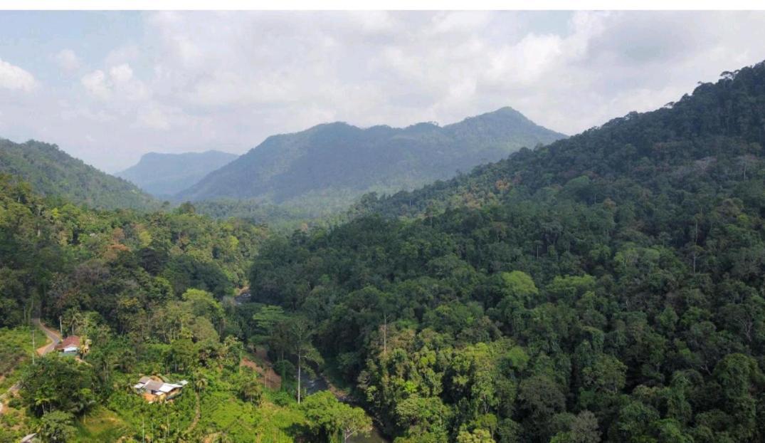 Sinharaja Forest Gate Deniyaya Εξωτερικό φωτογραφία