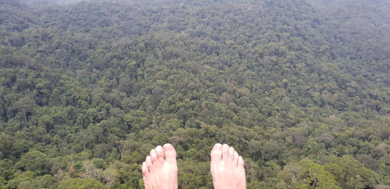 Sinharaja Forest Gate Deniyaya Εξωτερικό φωτογραφία