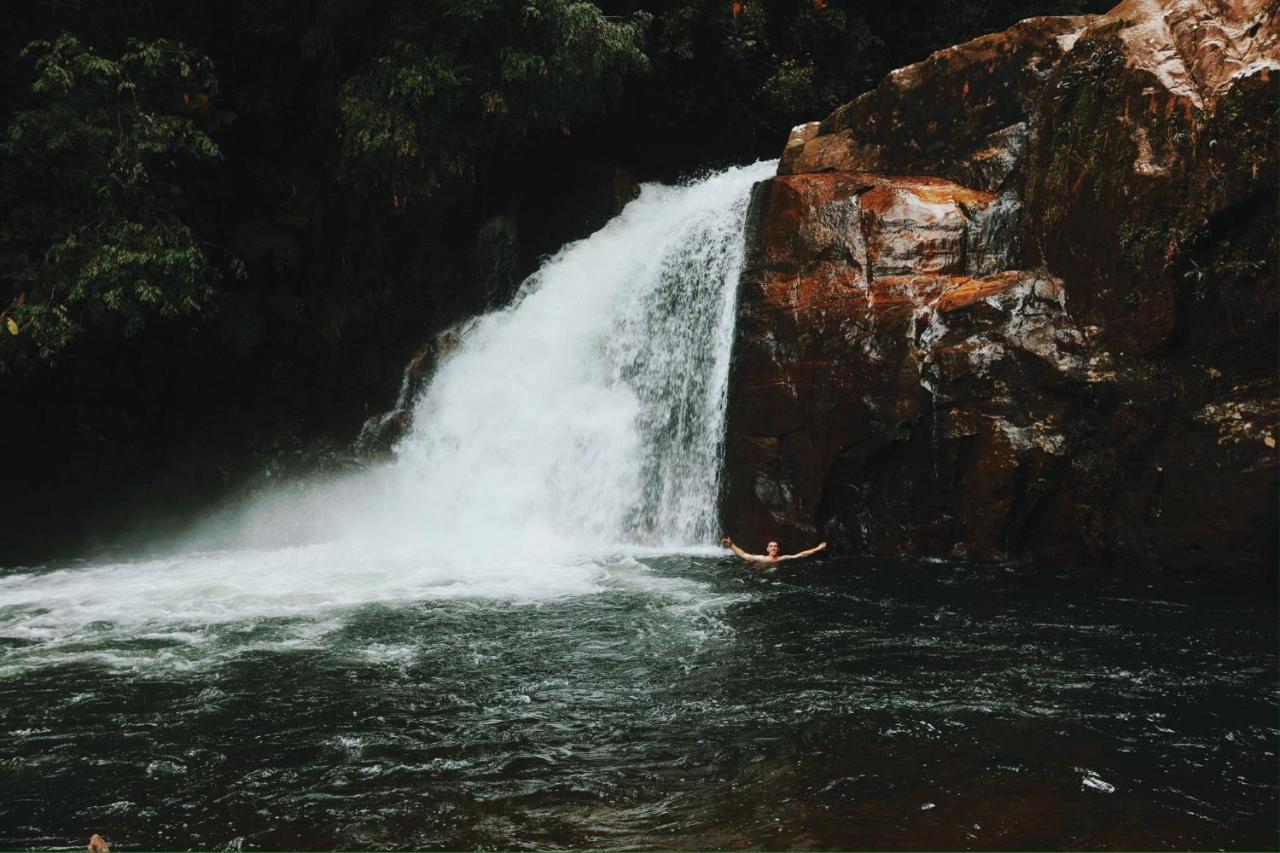 Sinharaja Forest Gate Deniyaya Εξωτερικό φωτογραφία