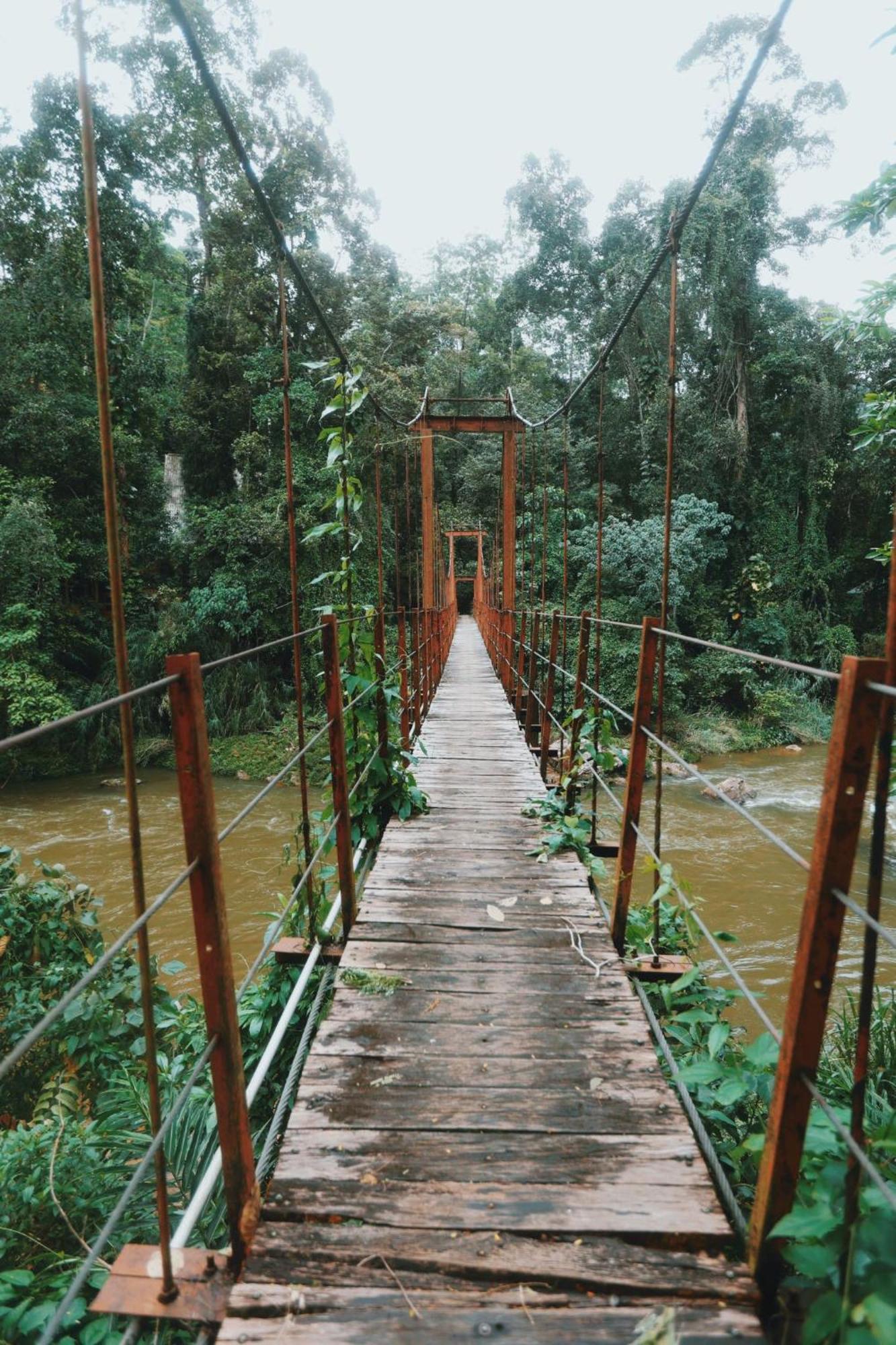 Sinharaja Forest Gate Deniyaya Εξωτερικό φωτογραφία
