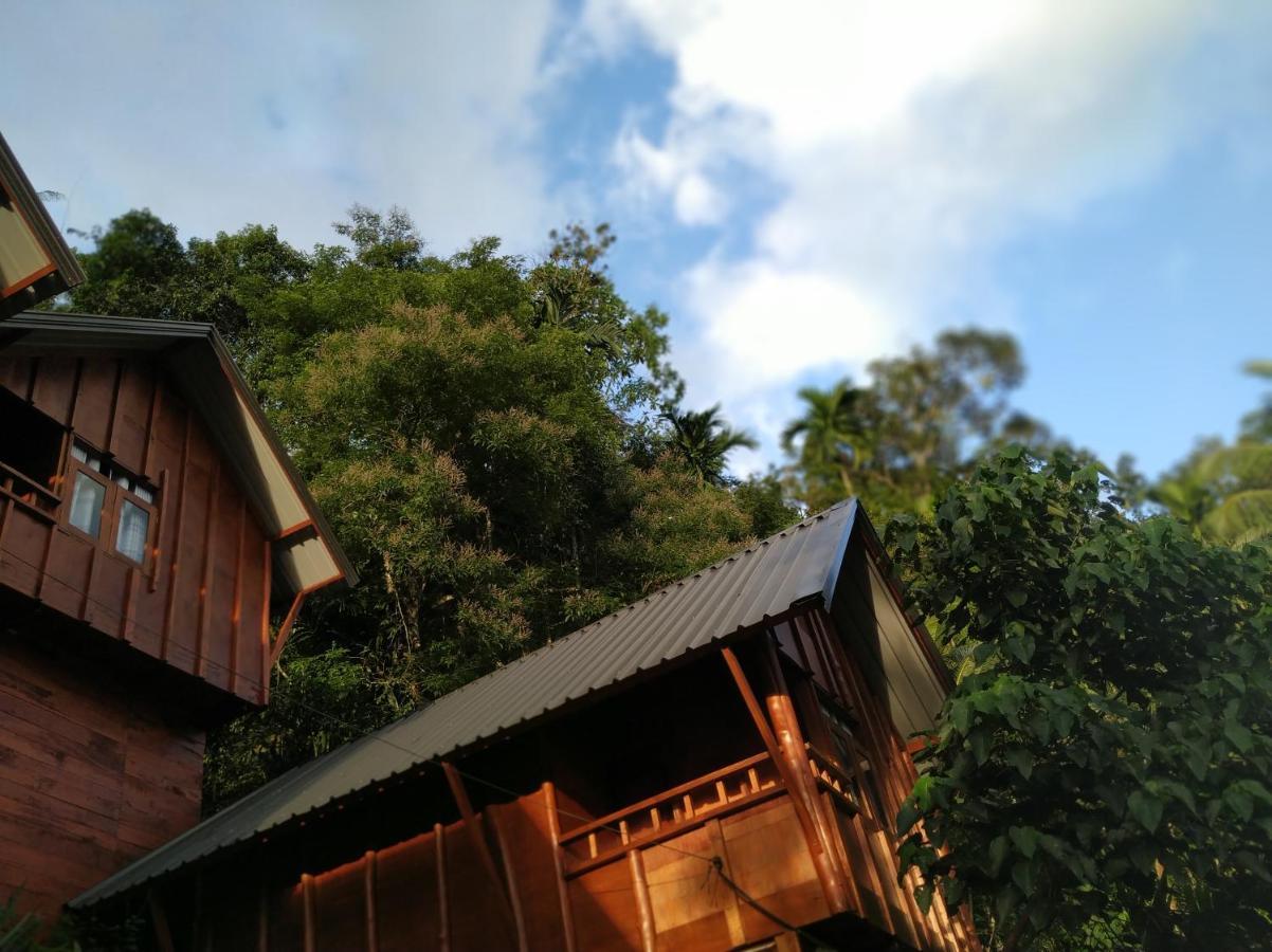 Sinharaja Forest Gate Deniyaya Εξωτερικό φωτογραφία
